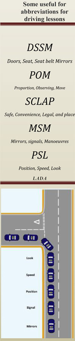 skill for driving lessons (MSM)